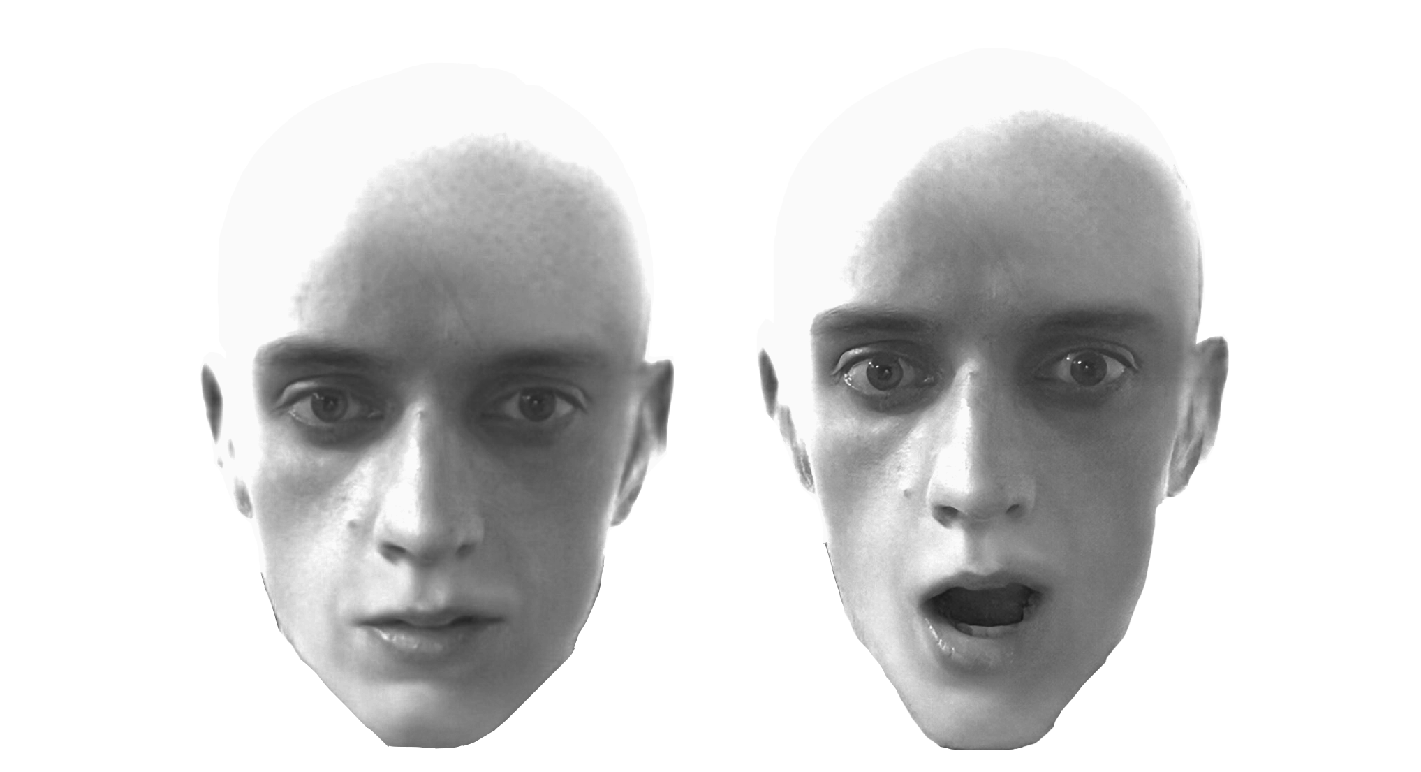 first edition face